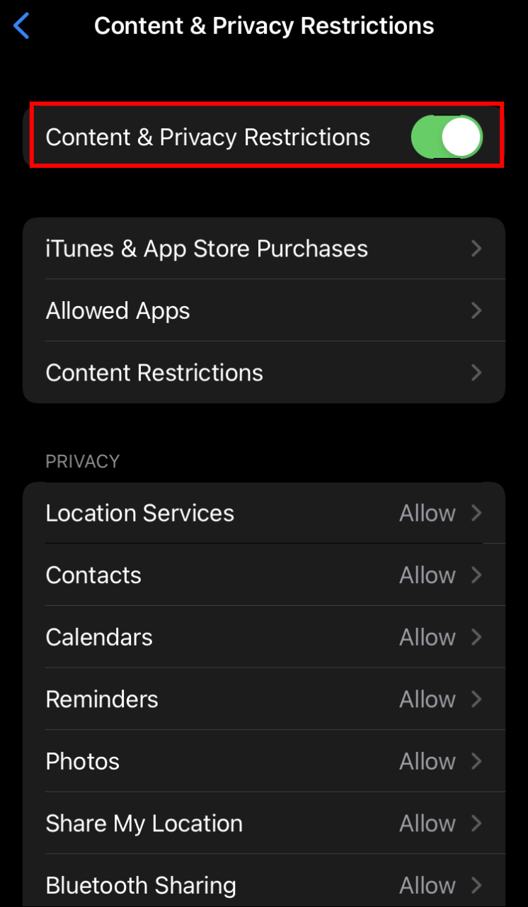 So verhindern Sie, dass eine App Daten auf dem iPhone verwendet