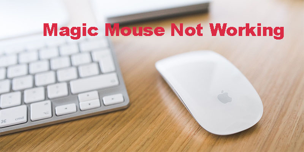 So beheben Sie, dass eine Magic Mouse nicht funktioniert
